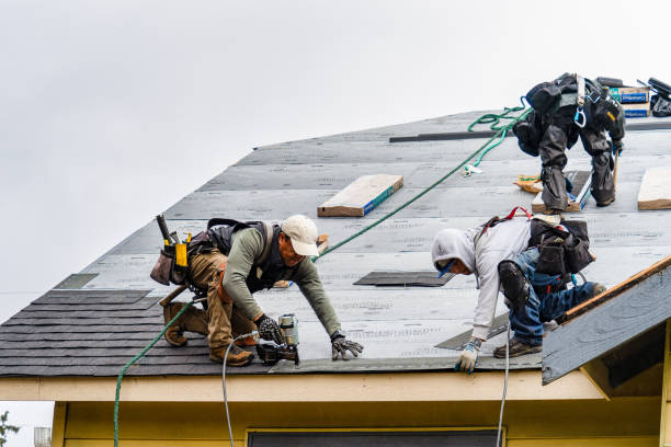 Professional Gutter Installation technician working in Philo, IL